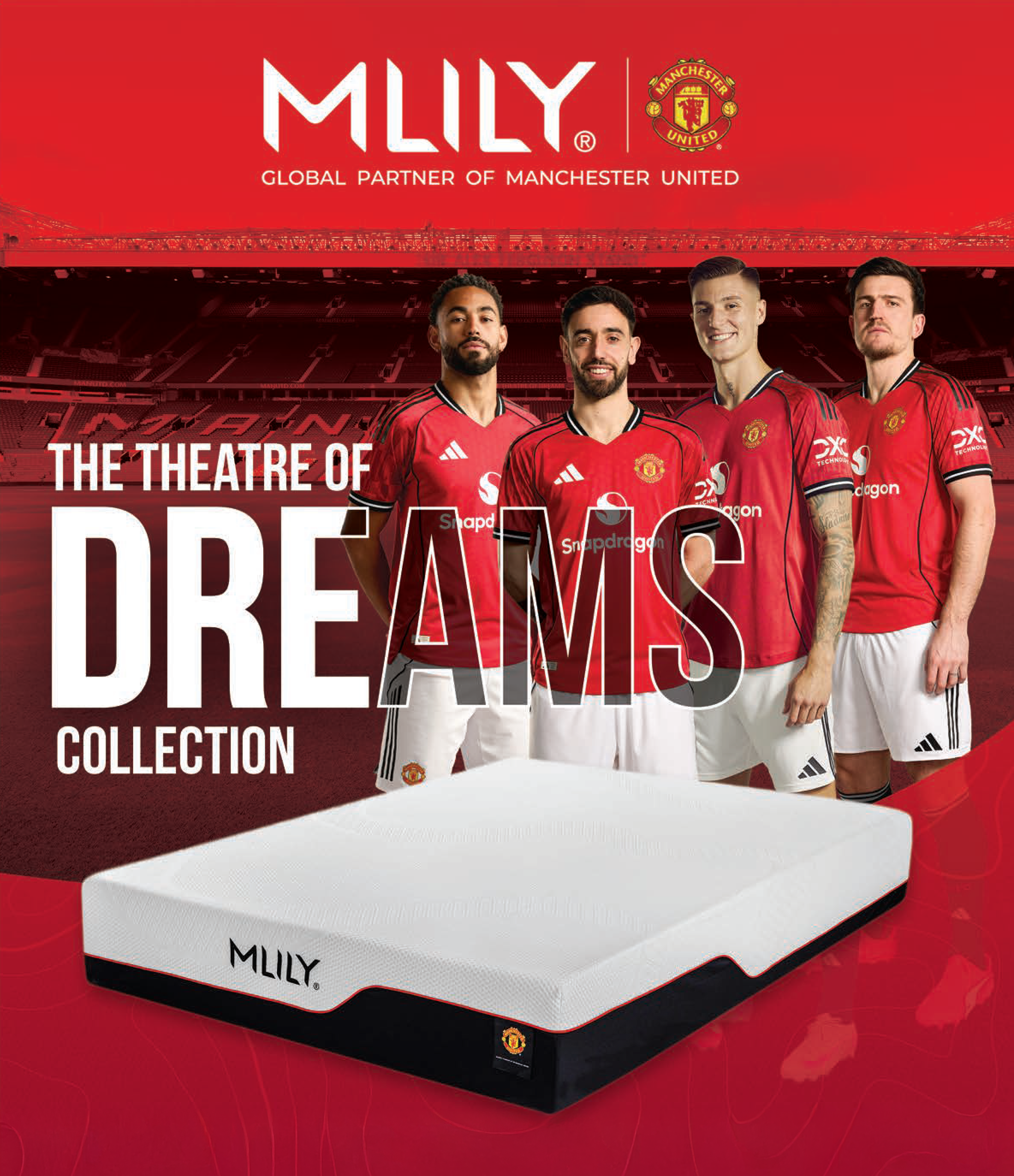 MLILY® Dream Mattress