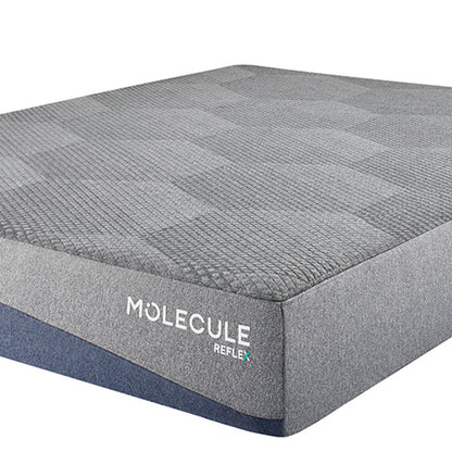 Molecule® Reflex 10"