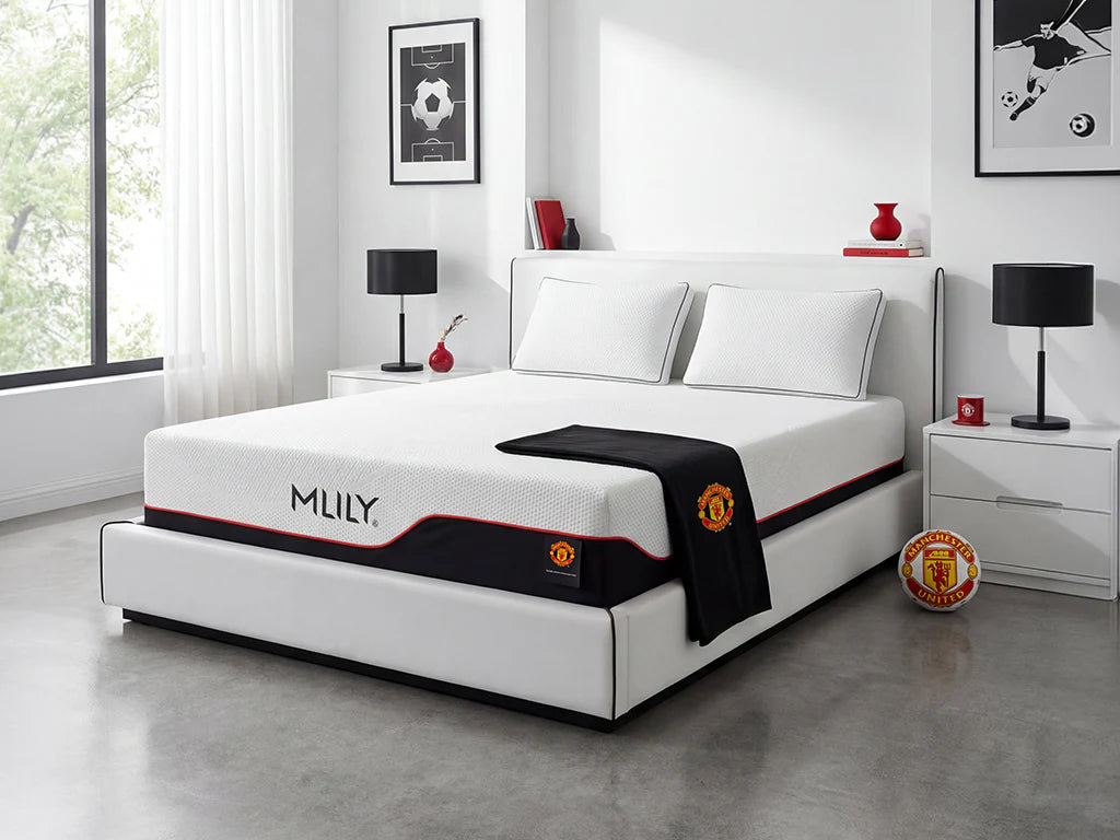 MLILY® Dream Mattress